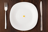 One corn seed on a white plate