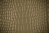 Old Grunge Leather Background Or Texture