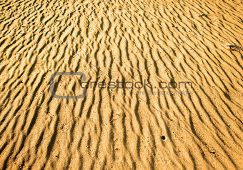 Texture of desert