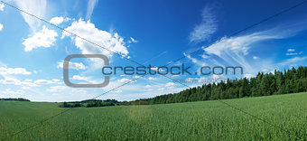 Panoramic Landscape with Green Field and Blue Sky