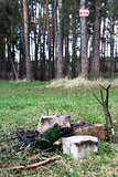 debris and extinguished bonfire in the woods