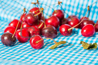 fresh cherries 