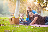 Happy Mixed Race Ethnic Family Having a Picnic In Park