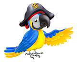 Pirate Parrot Illustration