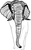 Elephant head for mascot or emblem design