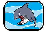 Cartoon Shark In Ocean