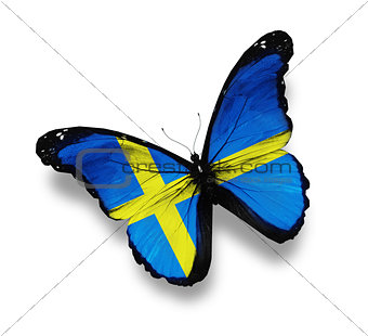 Swedish flag butterfly, isolated on white