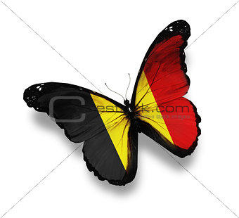 Belgian flag butterfly, isolated on white