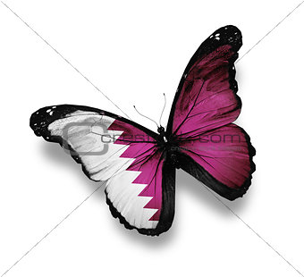 Qatari flag butterfly, isolated on white