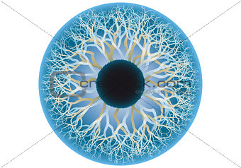 blue human eye, vector