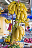 Ripe Yellow Bananas Bunch at Fruit Stall