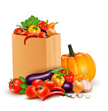 Background with fresh vegetables in paper bag. Healthy Food. Vec