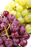 bunch of green and red grapes on a white background