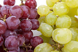 bunch of green and red grapes on a white background