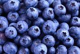 Closeup Image of Ripe Sweet Blueberries