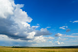 Beautiful Wheat Field under Dramatic Sky