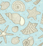 ocean shells