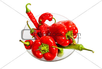 Red and green chili and bulgarian pepper composition