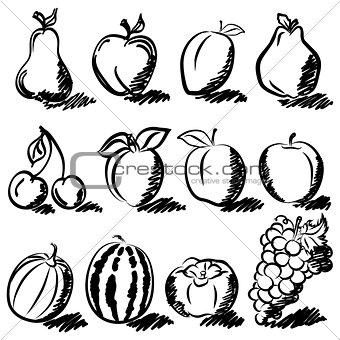 Temperate fruits sketch drawing vector set 