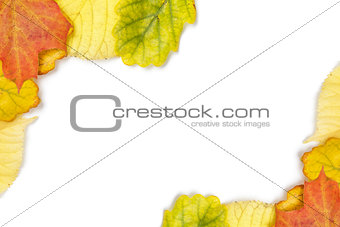 border from different autumn leaves