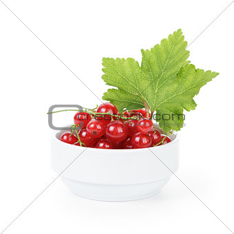 fresh ripe redcurrant with leaf in bowl