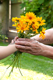 Young hand giving a flowers to senior's hand