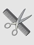 Barber Scissor and Comb