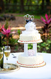 Gay Wedding Cake in Garden