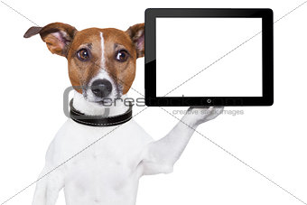 tablet pc dog