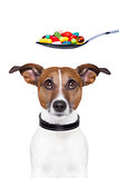 dog pills diet