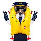 pilot dog
