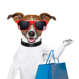 shopping dog