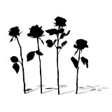 roses silhouettes