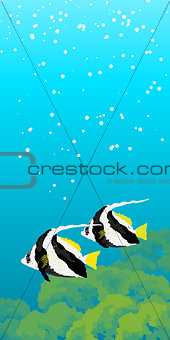 Two striped coral fishes under water