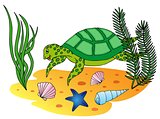 Aquatic turtle in the ocean