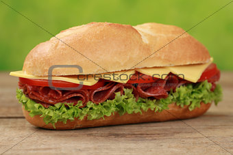 Sub Sandwiches with salami
