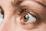 closeup eye and iris of young woman