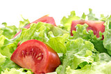 Tomato and lettuce salad  