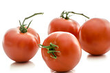 A group of tomatoes