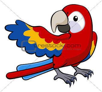 Red parrot illustration