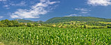 Green agriculture fields panoramic view