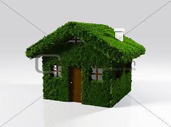 a house made of grass