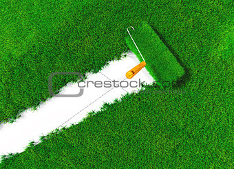 cover the ground with grass