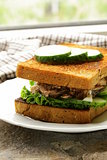 Tuna sandwich with cucumber and lettuce