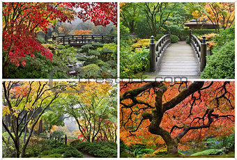 Japanese Garden in the Fall Collage