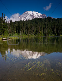 Vertical Composition Mt. Rainier Mirrored Reflction Lake Cascade