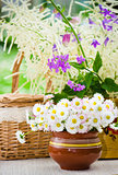 Bouquet of wild flowers in a pot at the table  