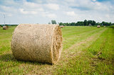 Round hay bales on a meadow