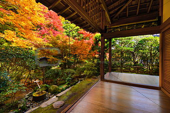 Fall Foliage in Ryoan-ji Temple in Kyoto