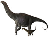 Argentinosaurus and Juvenile Profile